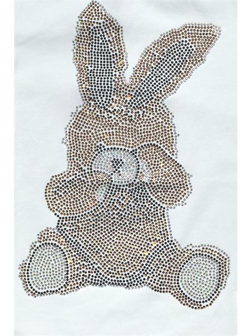  FUN & FUN | FNBTS12690 ABI